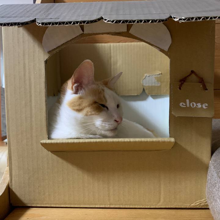 265416cd 7251 44a5 8e79 ae72c011799c 1659356285774