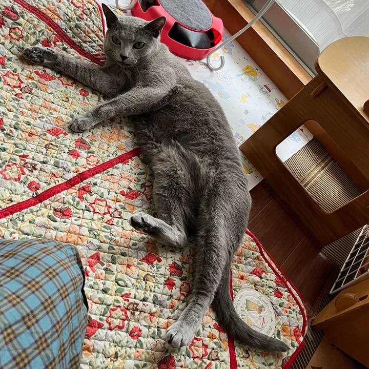 265438be 070b 4a25 8f21 e2431b68bec8 1652521044930