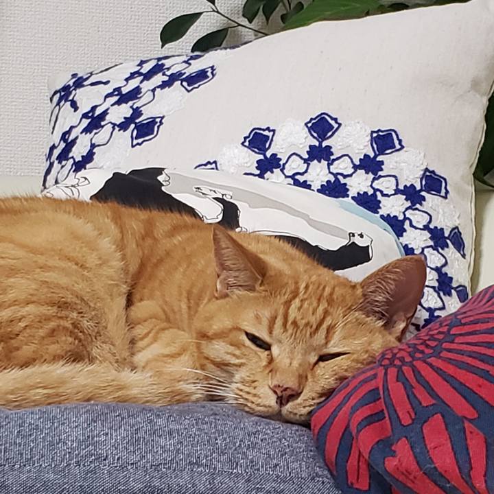 265444c7 08cf 427c a5b7 292e96d09aec 1718019725210