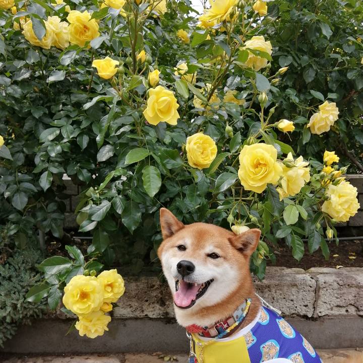 26544eca c4ab 4acd bf12 8238a5160e12 1653048315777