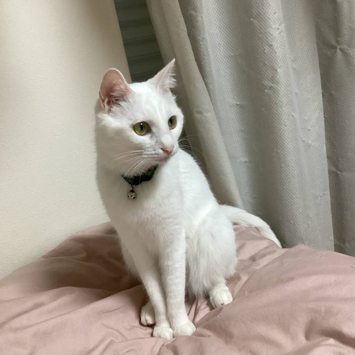 265460e6 d671 4899 b60e 18c354a12125 1652312350232