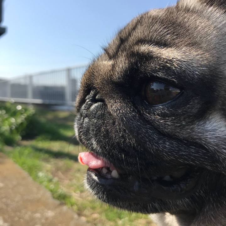 26547074 5f89 481d 9290 13185518e69c 1520729760412