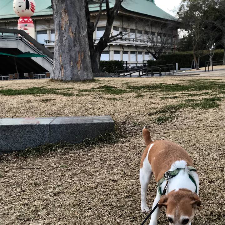 2654a58c 0fee 4d21 aece a4f2dbaa1b11 1550482469514