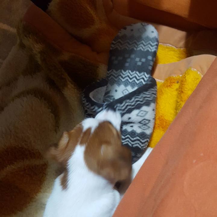 2654ae43 eebf 4122 9690 502edd6ca707 1550223859251