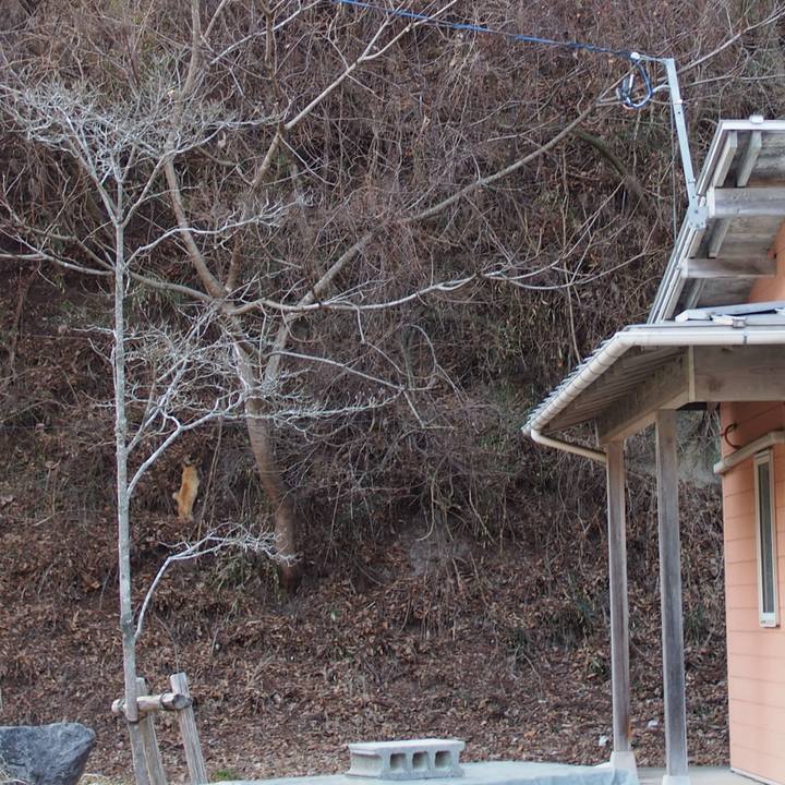 2654bd01 0c0d 4d8e 9536 7fb22be6eace 1551615413515