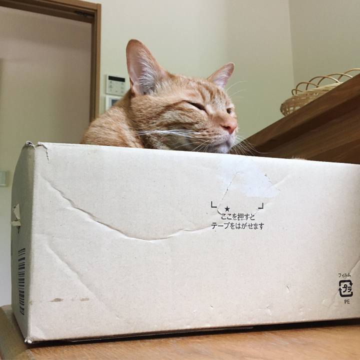 2654f2a2 a444 4373 adb9 9ca2712548be 1588224615752