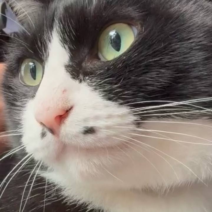 26551eed c8f9 4b3f bcca c8c07903887d 1763956512465