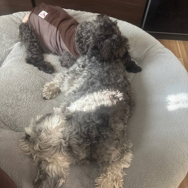 265523f4 85c4 4fe1 b141 7ee790d51e4d 1736815576003