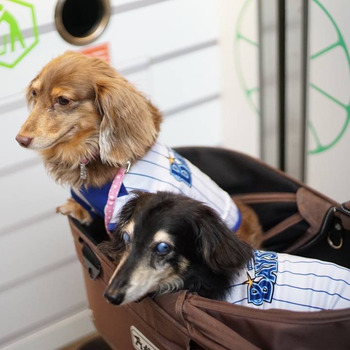 2655507e 9dbc 4e44 af8d 72ec804e3f1d 1527320105505