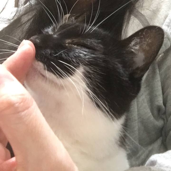 26558c5c 5592 4c88 b74e f0e7227a1807 1510129212525