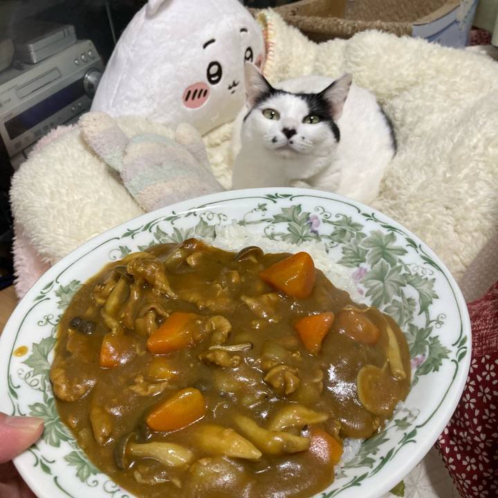 26559231 60a5 4a20 b8a3 0992802b8eda 1767528852034