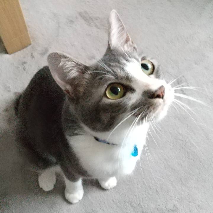 2655a3c2 e48c 48fd b37b 762f1ac78a0e 1596841994989