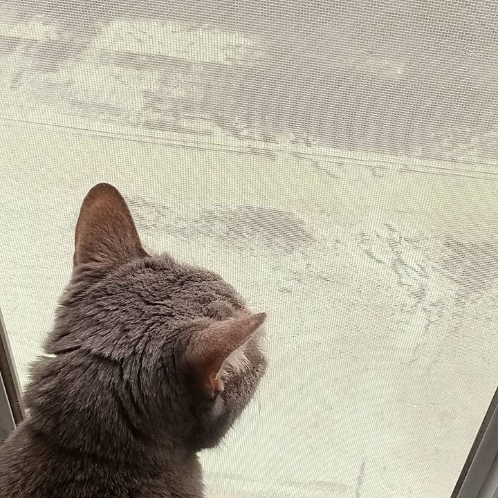 2655d2a7 2d43 4fb5 b358 4e3f5c0bfd18 1684041454082