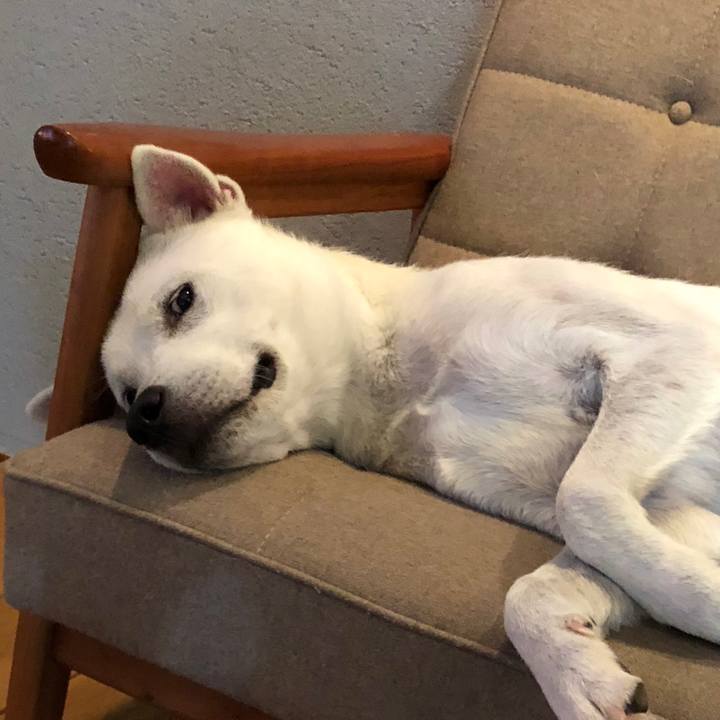 2655d609 3812 424c aece 5f6afa70f270 1539261925917