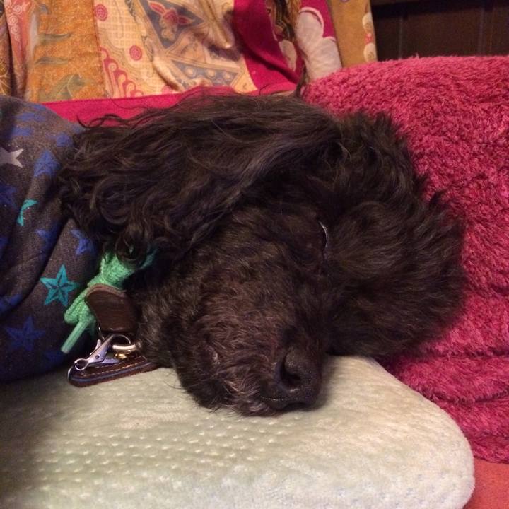 2655d953 2afc 48eb b6dc a2e7f6c61c22 1520418644993