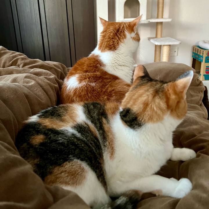 2655f9e6 03d8 4d57 b0e5 63379d6f6f96 1763004886330