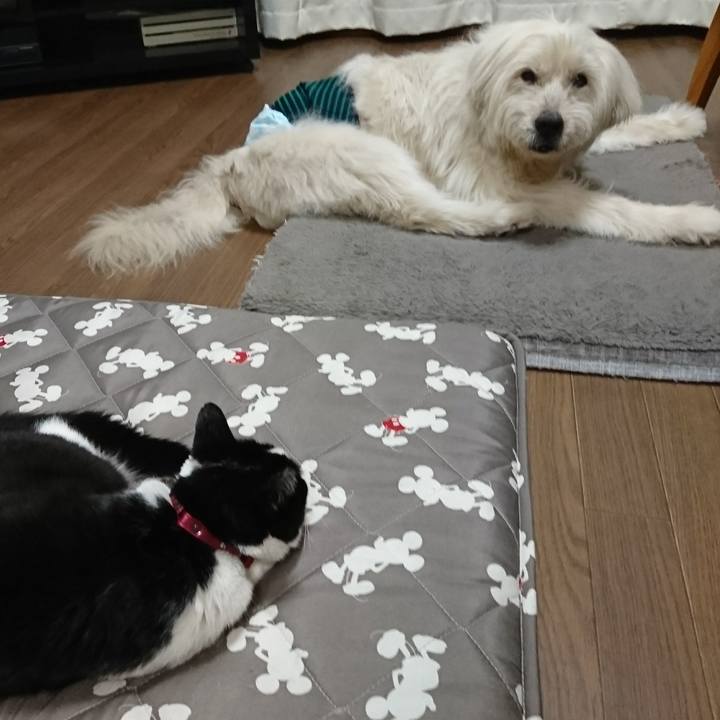 26560251 accd 4cbe 9f35 9e0fa966690a 1611483530292