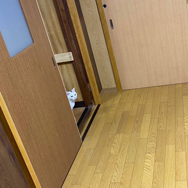 265611d5 ebb3 4e0d b38f c9b9f0adba47 1633008731292