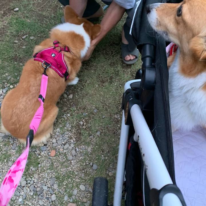 26567820 1c62 40e6 895e 971788fe24a8 1622975898906