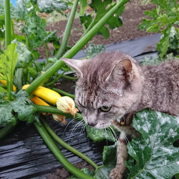 26568093 27b8 4faf 8037 b9afdff00f7c 1592855468260