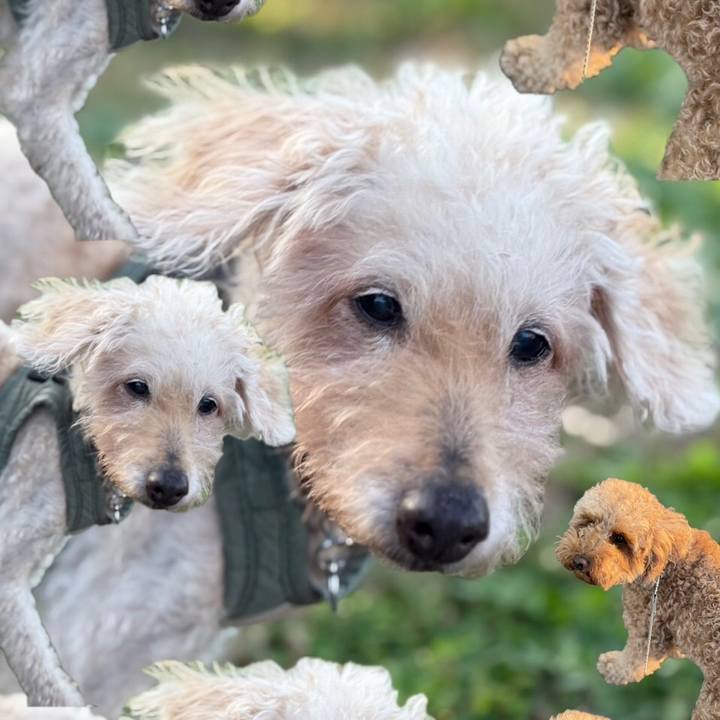 2656bb20 bb7d 4abf a76a a427ac20ce31 1729676927651