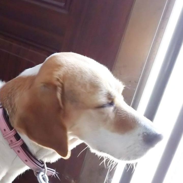 265701c9 2ee0 40a5 b3ae fe2194e03244 1591240995030