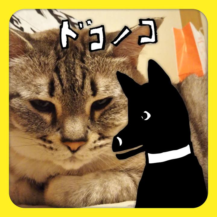 26571857 ac3f 4ff3 a505 255660b0f140 1622987348019