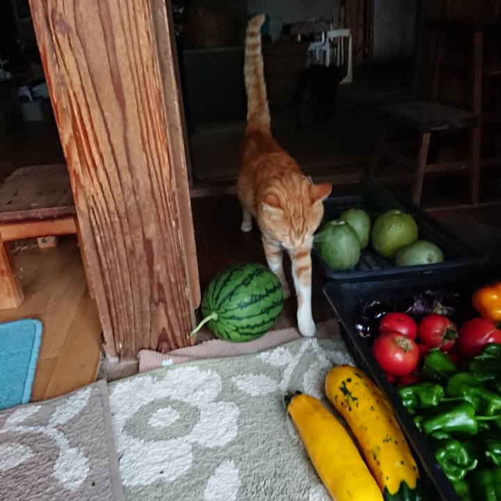 26571e8b 0420 4c02 bf1d b3b7ba5fdb63 1567155903509