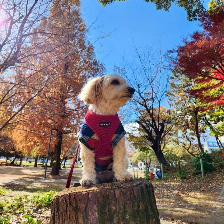 265726c1 b1ee 4196 9ad0 75014e11d91c 1764908420812