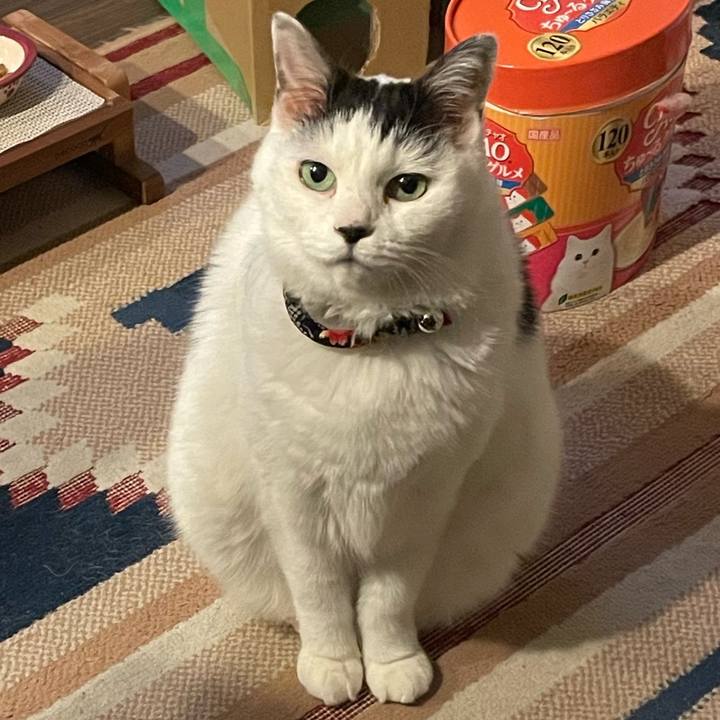 265733da c3fb 4342 8502 bd8daf2999d4 1736167761061