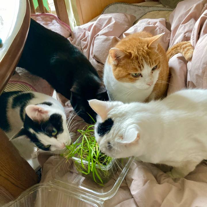 26575c74 b2a7 44a6 931a b299412da738 1673056522175