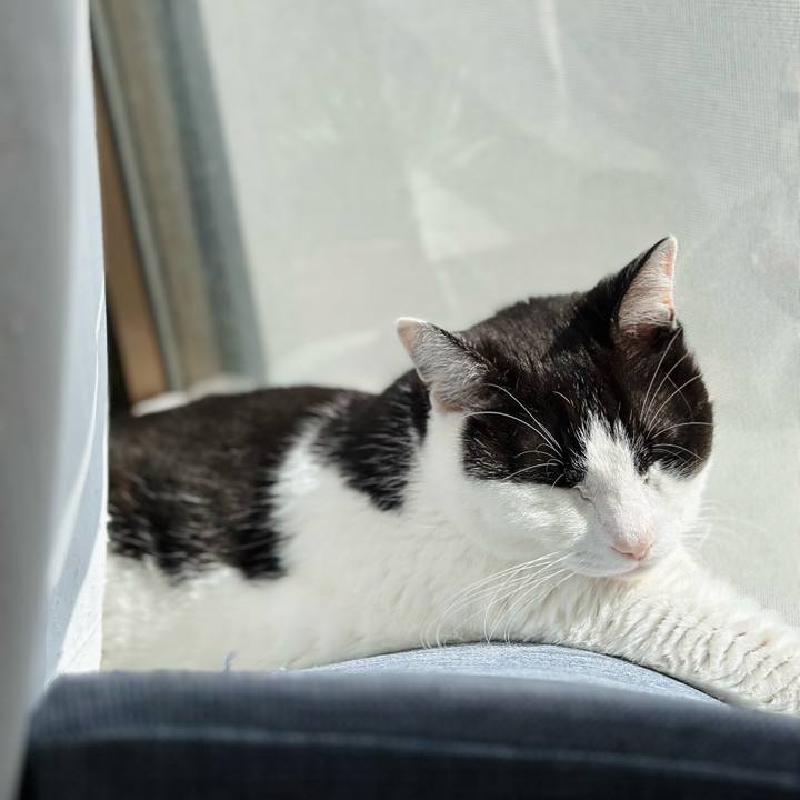 2657928d 27c6 448f b9ab 72957e3f4f50 1714699955775