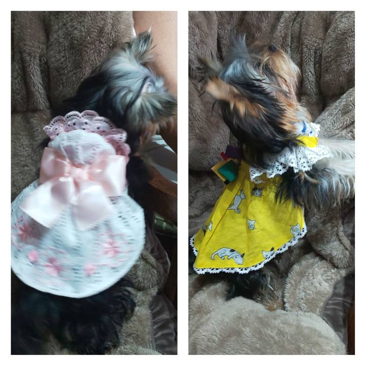 2657941d 4d91 4cb9 8165 e4af50e8b4d9 1593830197510