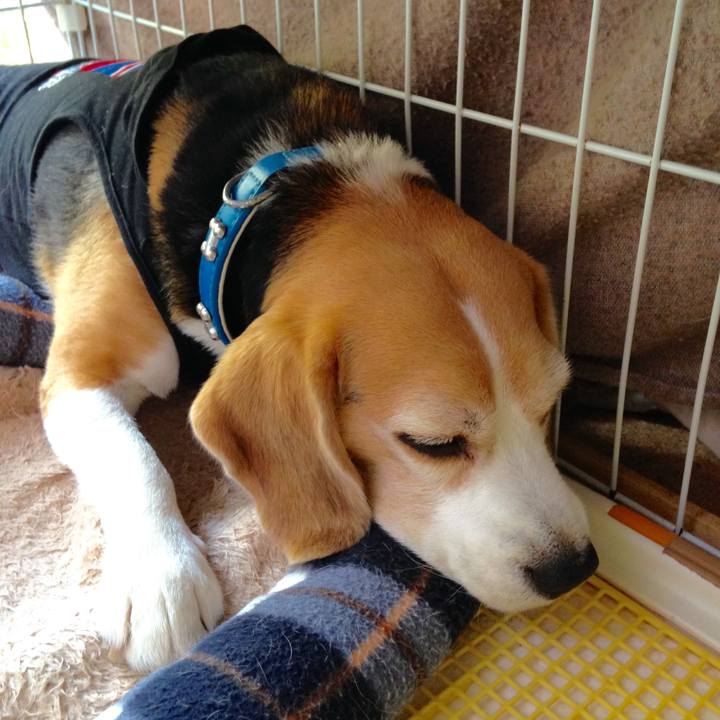 265795ae 8074 48e4 a078 d0bb412ad417 1746664746259