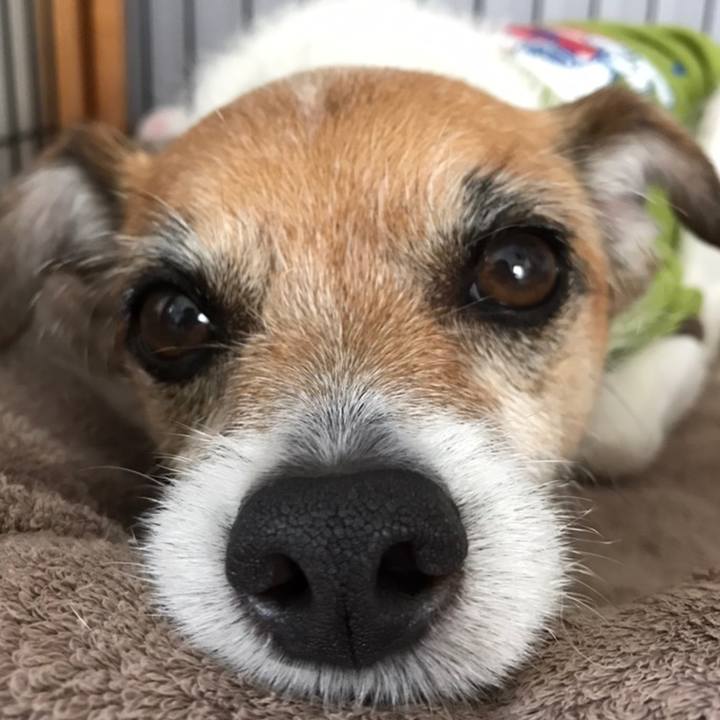 26579aac 41e5 47a9 89dc 091260ee76dd 1558245605558