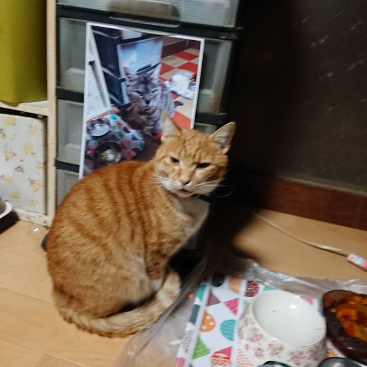 2657b6c8 26f3 486c ac8f 84a7365544bf 1601409359481