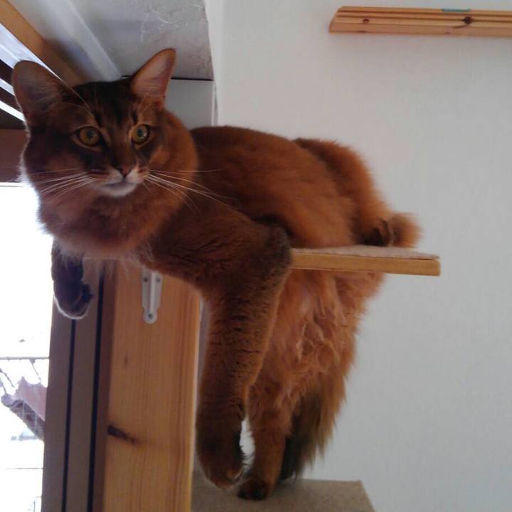 2657e98f c1e7 455e 8ca1 727097beebad 1606177421677