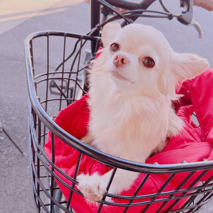 2657f4f1 5981 45d4 a242 ae9984e78cfc 1678867310493