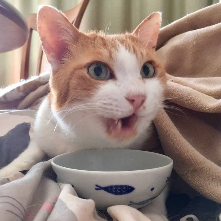 2657fe8b eb3c 4eb1 a899 846663f27bbe 1581498588092