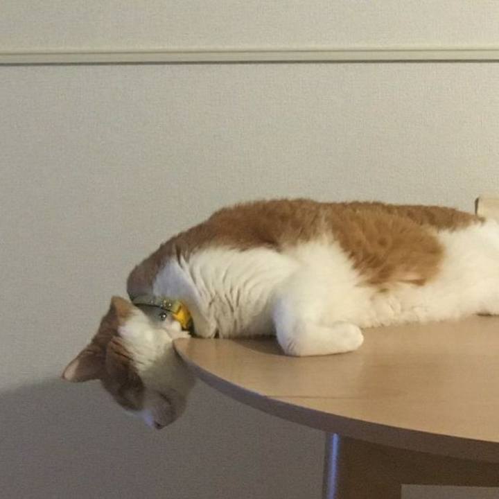 26586576 5e35 4413 ad6f d2ba911471ae 1583065031105