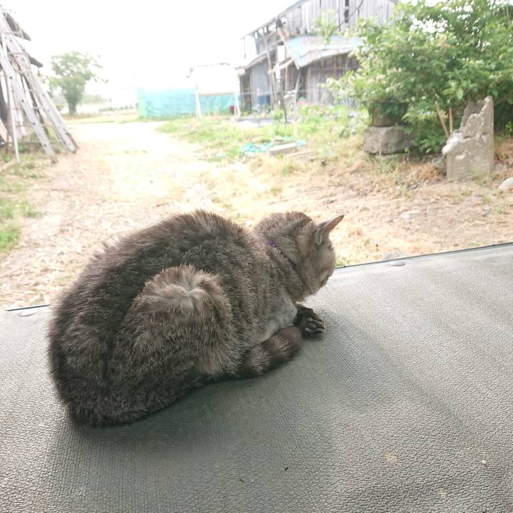 2658843f af40 41fd 8ae9 7375fa1a42de 1592086012559