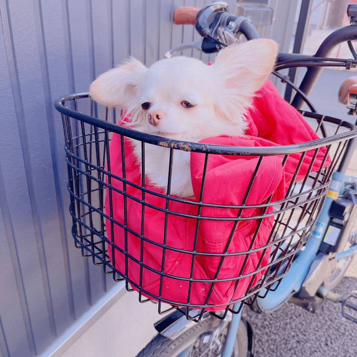 26589de8 9216 4a1f 8f35 43c6e9eb255b 1678842795914