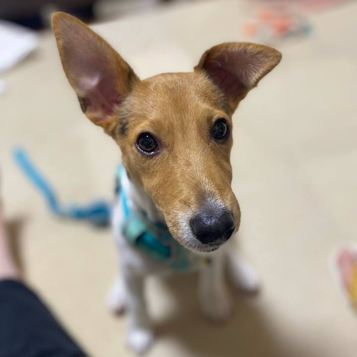 2658f1d1 f865 48e5 a402 dc4ac74f452f 1751800797526