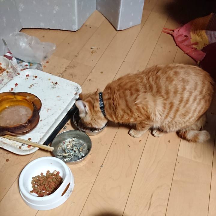 26593218 ef78 4aac 9ff6 03fd46d571c5 1640379300936