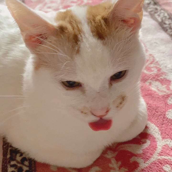 26594507 1106 4ae0 ac39 dfdc79f95035 1588254340238