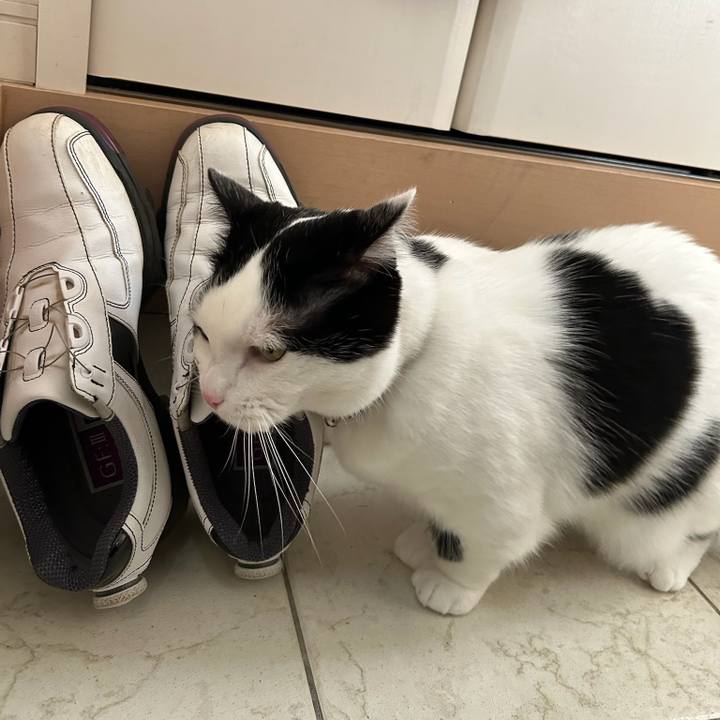 26594d66 fd7e 4650 85b4 fa296c6debdb 1774826346228