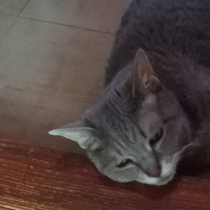 265952c3 33d5 4754 b9b9 db693eff10fb 1689549370998