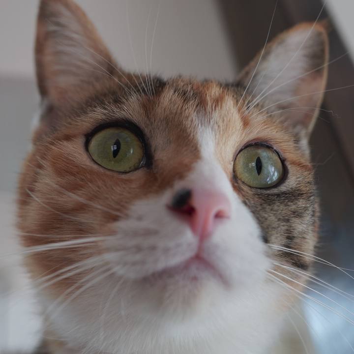 26596a7d 664b 4c56 a68e a780251329f5 1601769023078