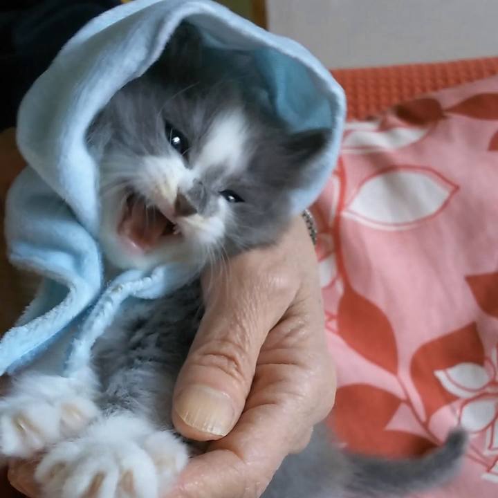 265972ab 7111 4c85 80dc 29f03ad1f072 1558655678151