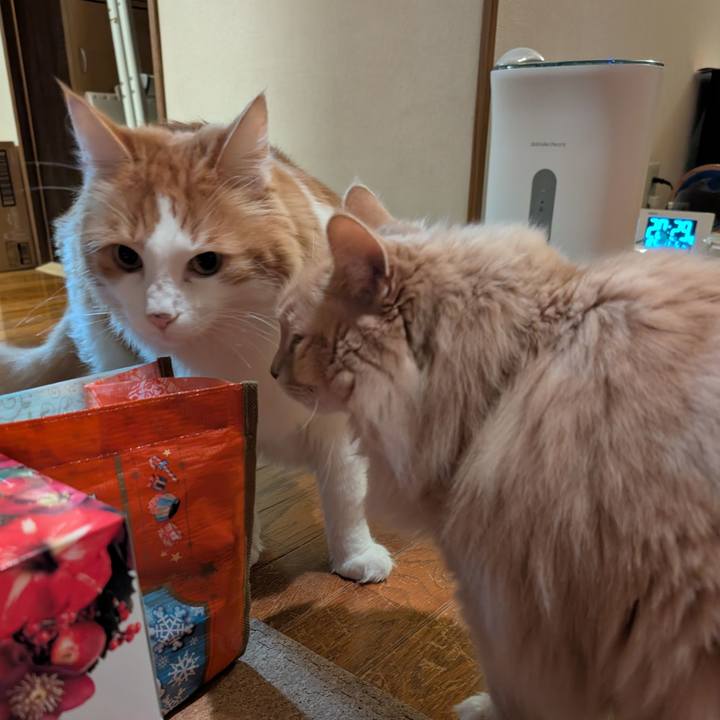 265979c9 d447 47ed 9f0f 7ba3b4751b4c 1762483651051